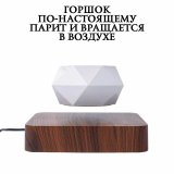 Левитирующий цветочный горшок LevitronOff VIP